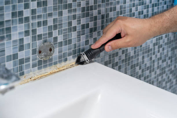 Best Fast Mold Removal  in Plummer, ID